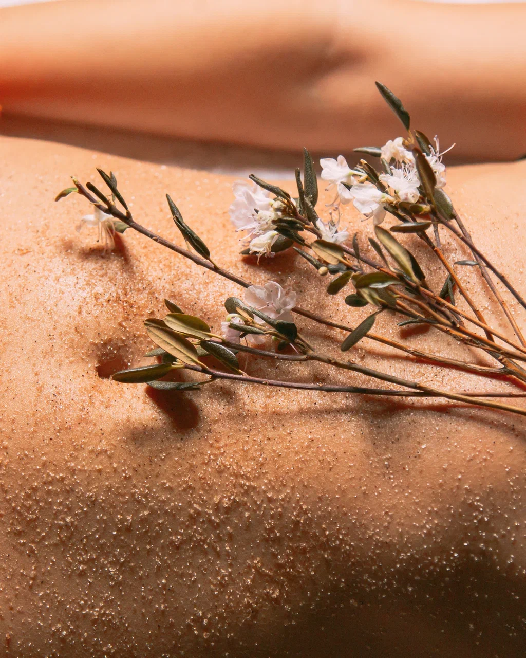 Травы для бани: как превратить парение в оздоровительный ритуал